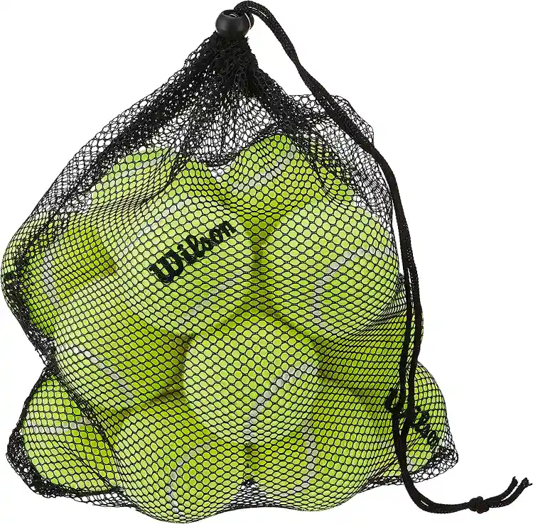 WILSON Pressureless Tennis Balls